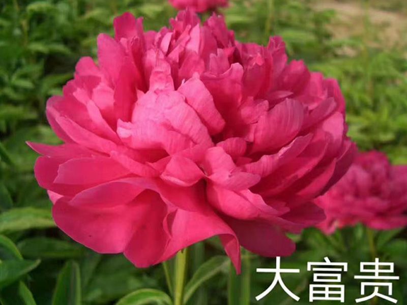 戳我试试